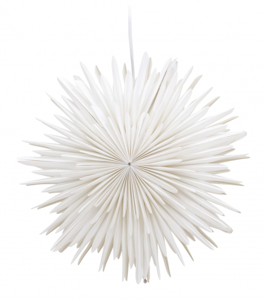 Kerstster 'Grent' - Wit