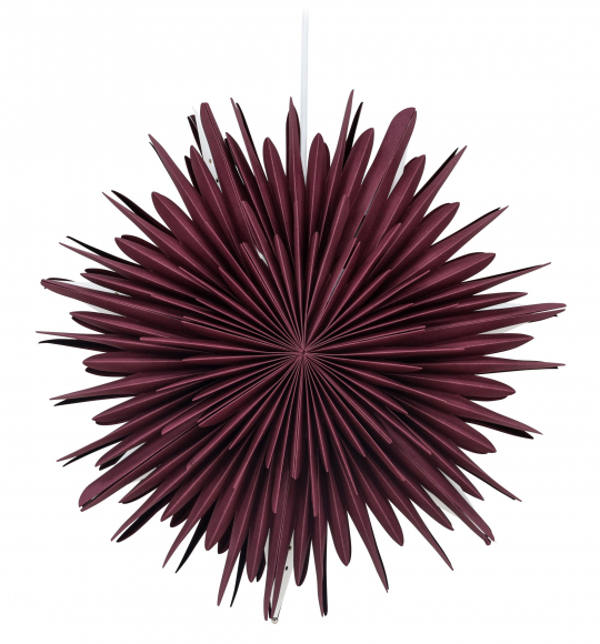 Kerstster 'Ture' - Donkerrood
