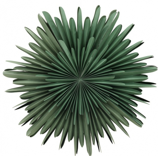 Adventster 'Svedala' 80cm - Groen