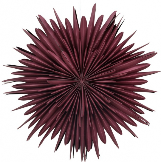 Adventster 'Svedala' 80cm - Rood