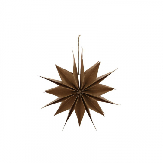 Kerstster 'Capella' M - Natuur