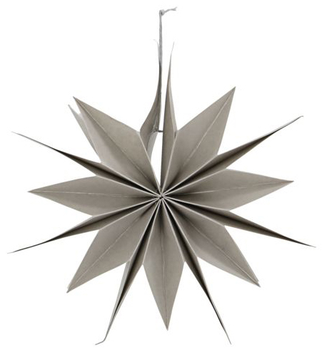 Kerstster 'Capella' - Parels S