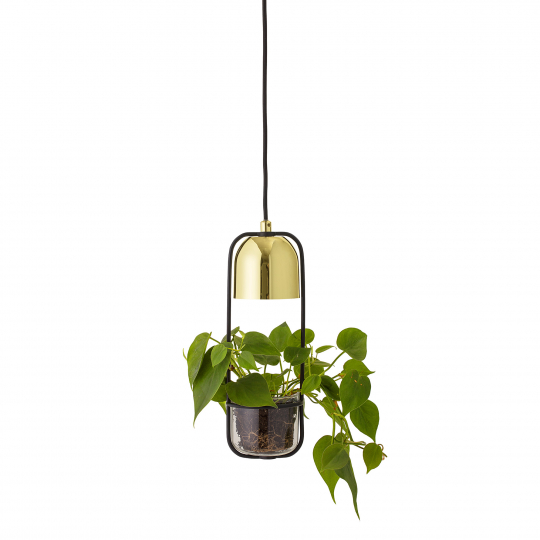 Plafondlamp 'Gullak' - Goud