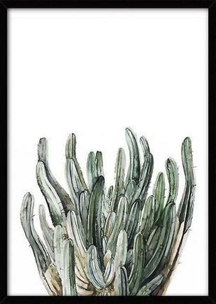 Canvas Poster L - Tropische plant 9