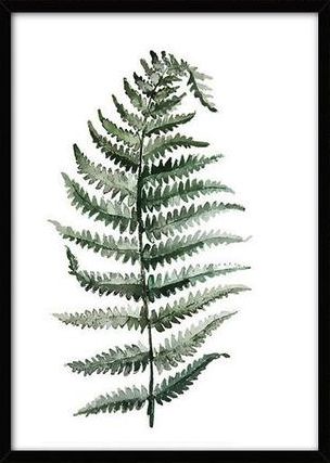 Canvas Poster L - Tropische plant 10