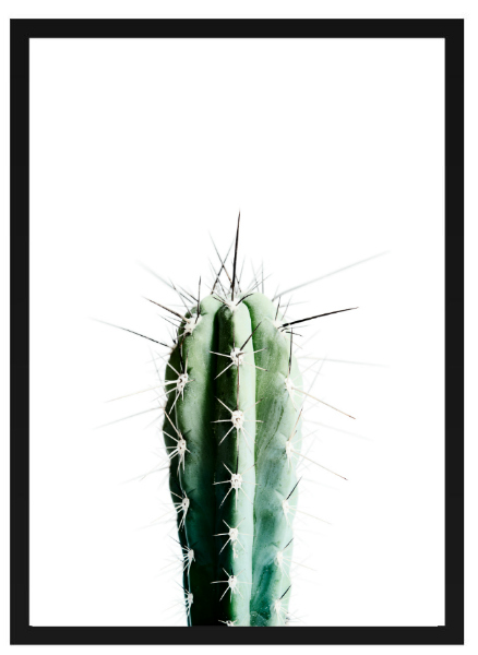 Poster - 'Cactus'