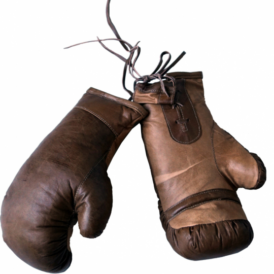Boxhandschoenen Vintage - Leer