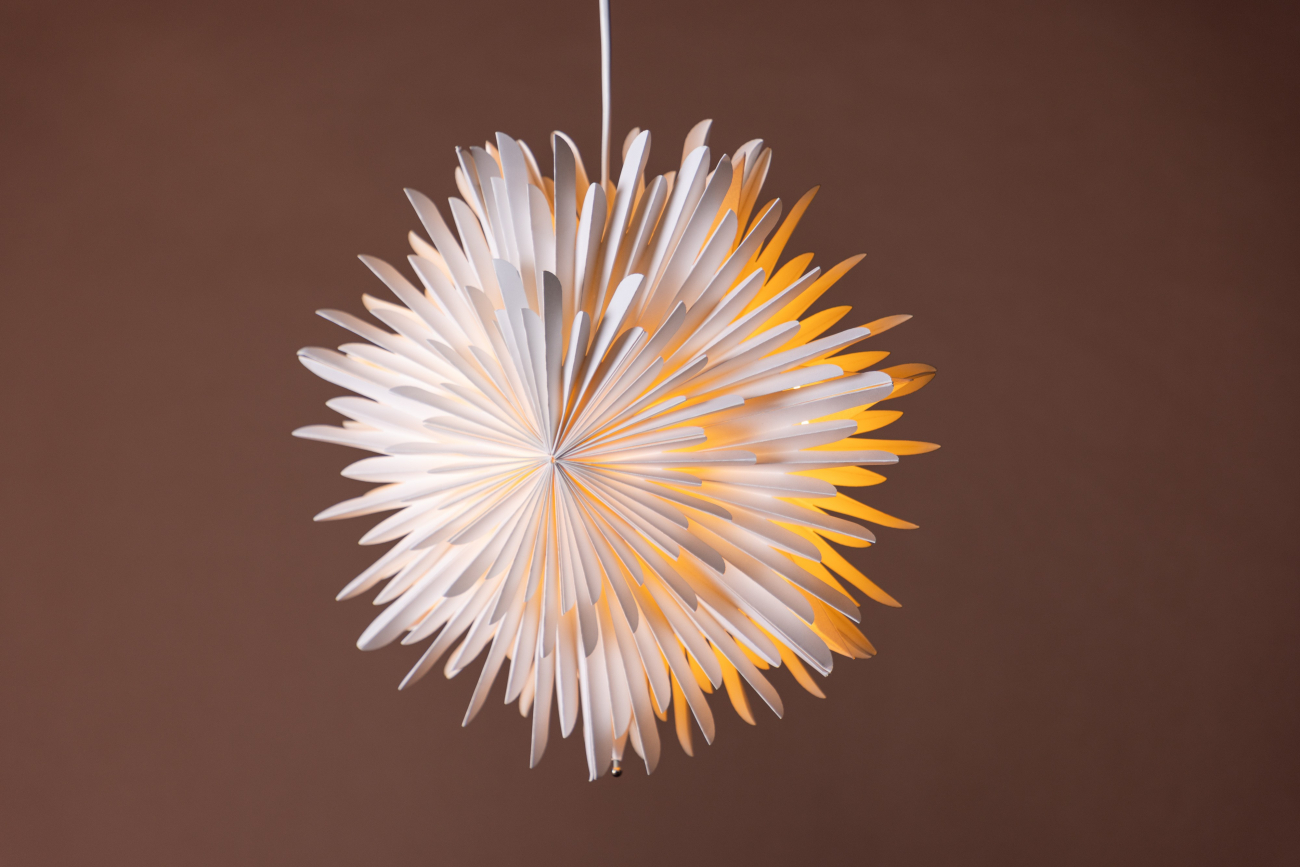 Kerstster 'Grent' - Wit