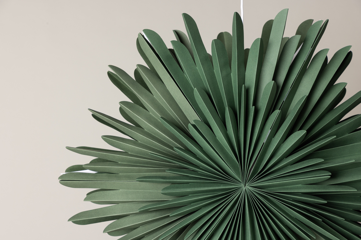 Adventster 'Svedala' 80cm - Groen