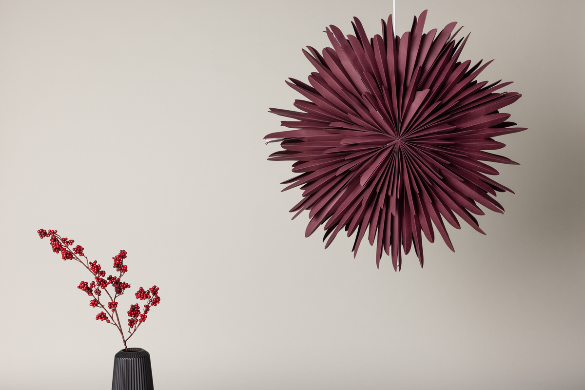 Adventster 'Svedala' 80cm - Rood