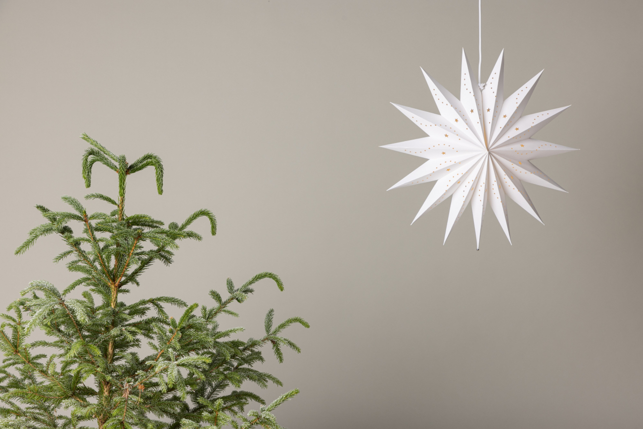 Kerstboom 'Sala' - Wit