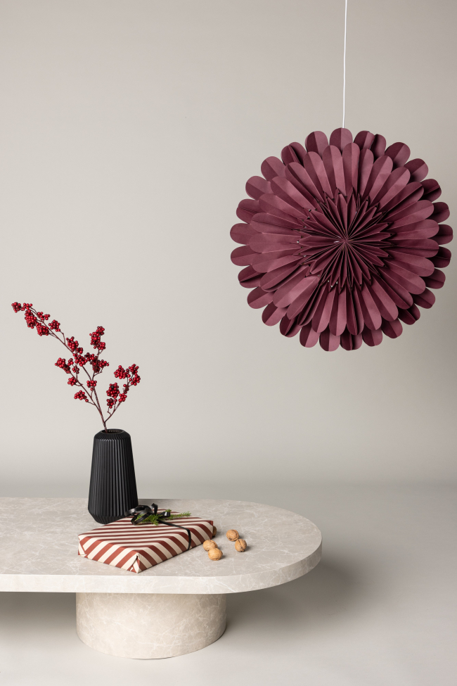 Kerstster 'Glänt' - Rood