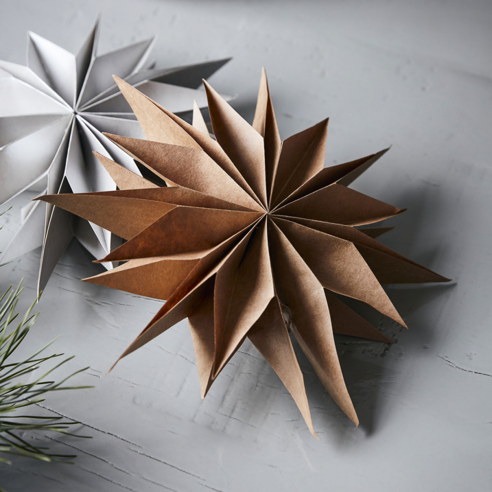 Kerstster 'Capella' M - Natuur
