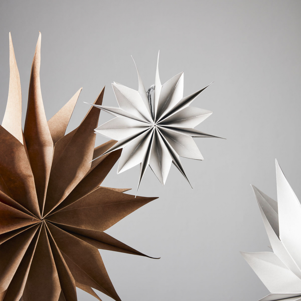 Kerstster 'Capella' - Parels