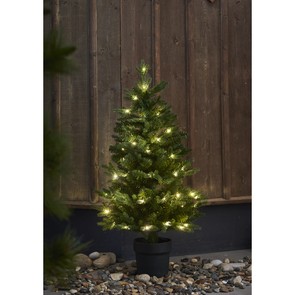 Kerstboom 'Byske Verlichting' - Groen