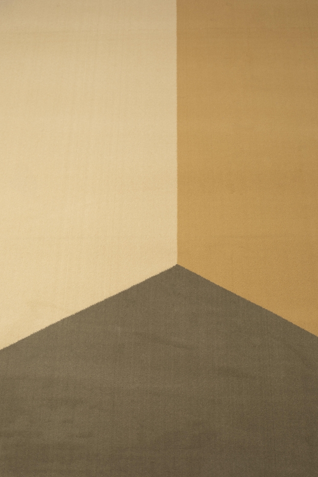 Vloerkleed 'Harmony' 160x230cm - Bruin