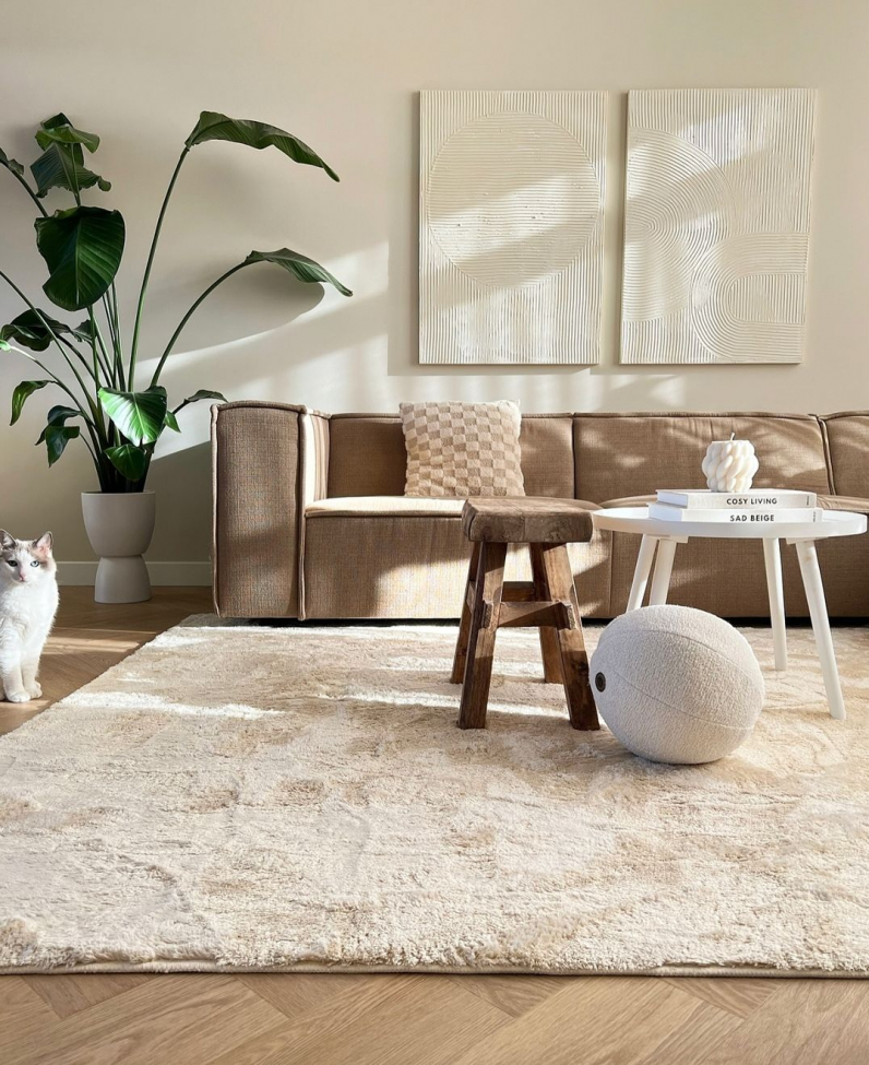 Vloerkleed 'Aranga Super Soft' 80x150cm - Beige