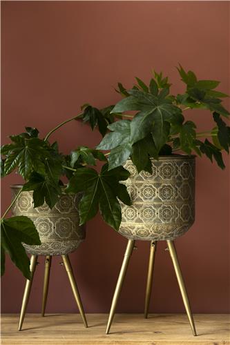 Pot 'Botanique' M - Messing