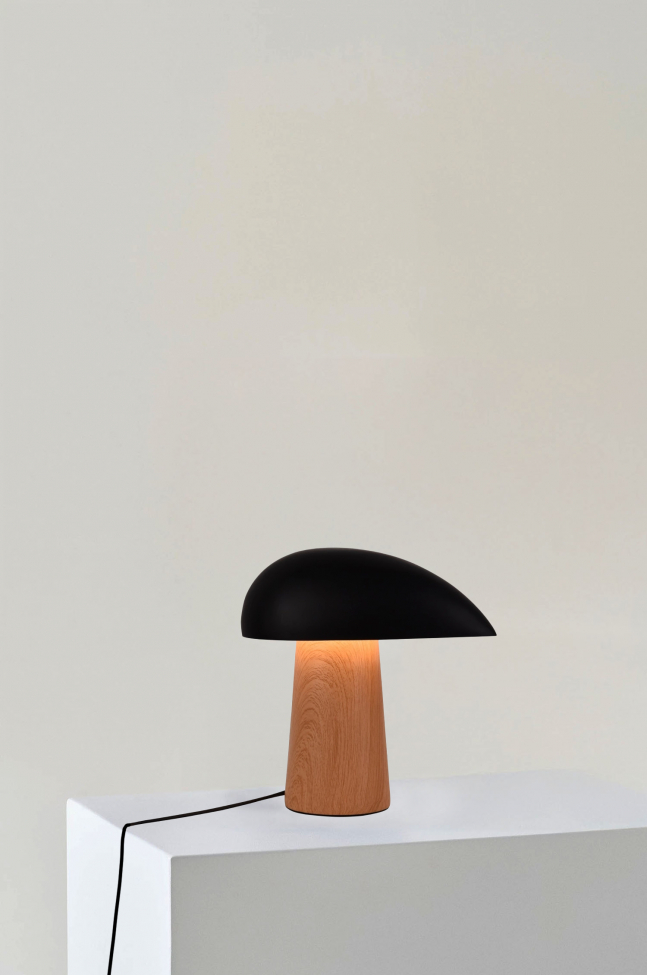 Lamp 'Karlskrona' - Natuur/Zwart