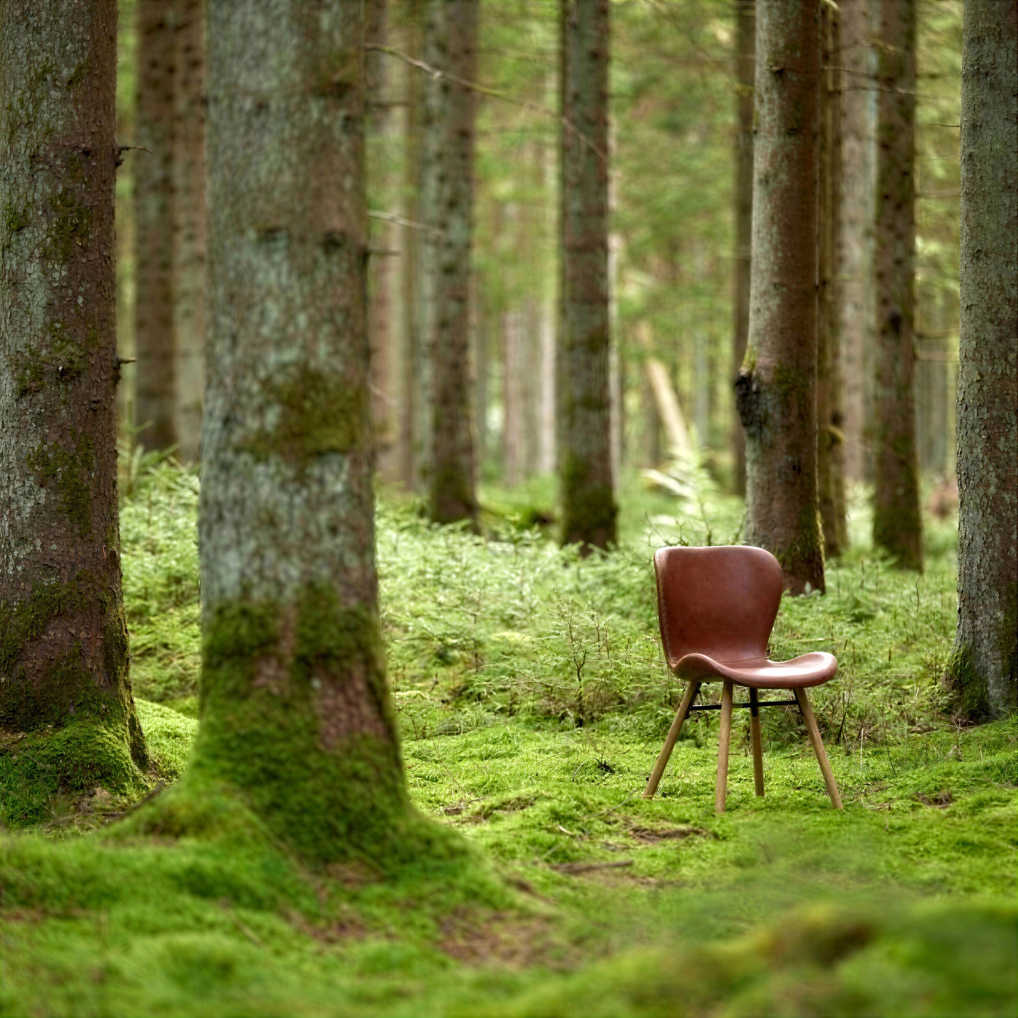 Stoel 'Böda' - Natuurlijk/Bruin