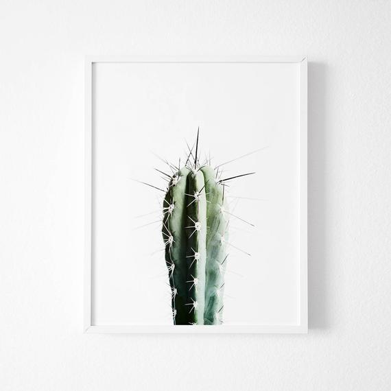 Poster - 'Cactus'