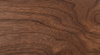 walnoot logo