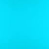 turquoise logo