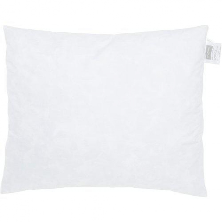 Binnenkussen \'Veder\' 50x60 - Wit in de groep Inrichting / Textiel / Sierkussens bij Reforma (0769-00-001)
