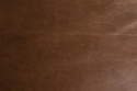 Bank \'Douglas\' - Bruin