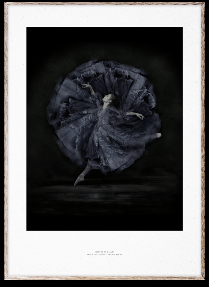 Poster \'Essence of Ballet 06\' 50x70 - Zwart/Wit in de groep Kamer bij Reforma (10119)