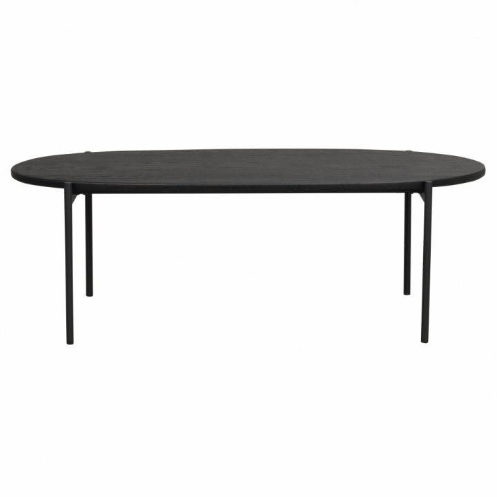 Salontafel \'Skye\' 120x60cm - Zwart in de groep Meubels / Tafels / Salontafels bij Reforma (119327)