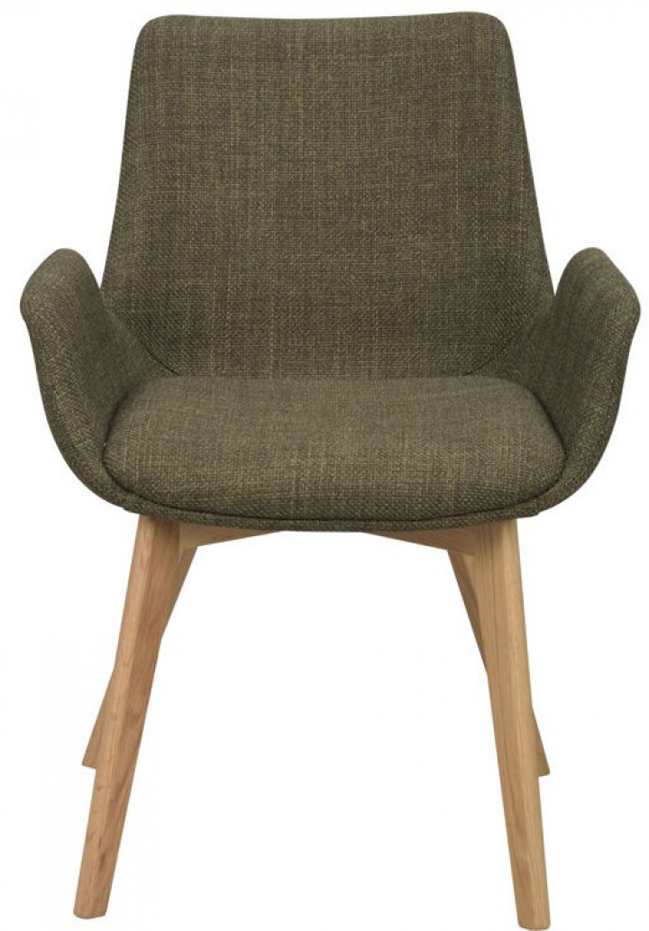Fauteuil \'Drimsdale\' - Groen/Eiken in de groep Meubels / Zitmeubels / Stoelen bij Reforma (120800)