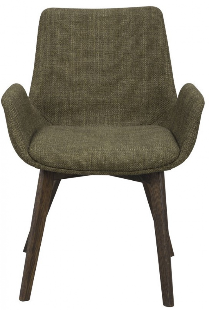 Fauteuil \'Drimsdale\' - Groen/Bruin in de groep Meubels / Zitmeubels / Stoelen bij Reforma (120802)