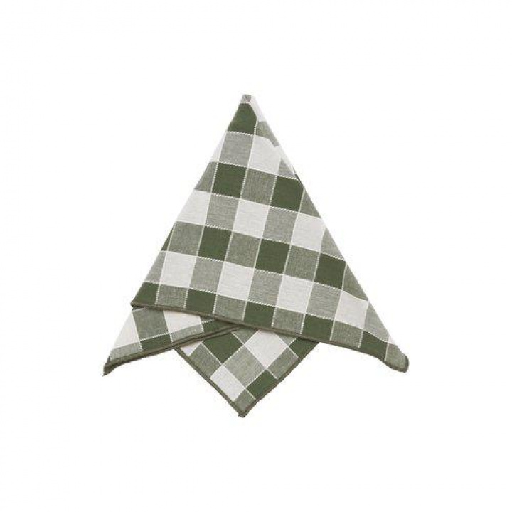 Servet \'Mary\' 45x45 - Groen in de groep Inrichting / Textiel bij Reforma (1369-83-177)