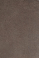 Kruk \'Livermore\' - Bruin