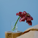 Hocker \'Rose Teak\' - Natuurlijk