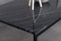 Salontafel \'Ebba\' 60x120 - Zwart