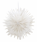 Kerstster \'Grent\' - Wit