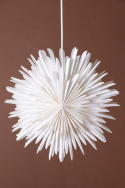Kerstster \'Grent\' - Wit