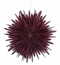 Kerstster \'Ture\' - Donkerrood