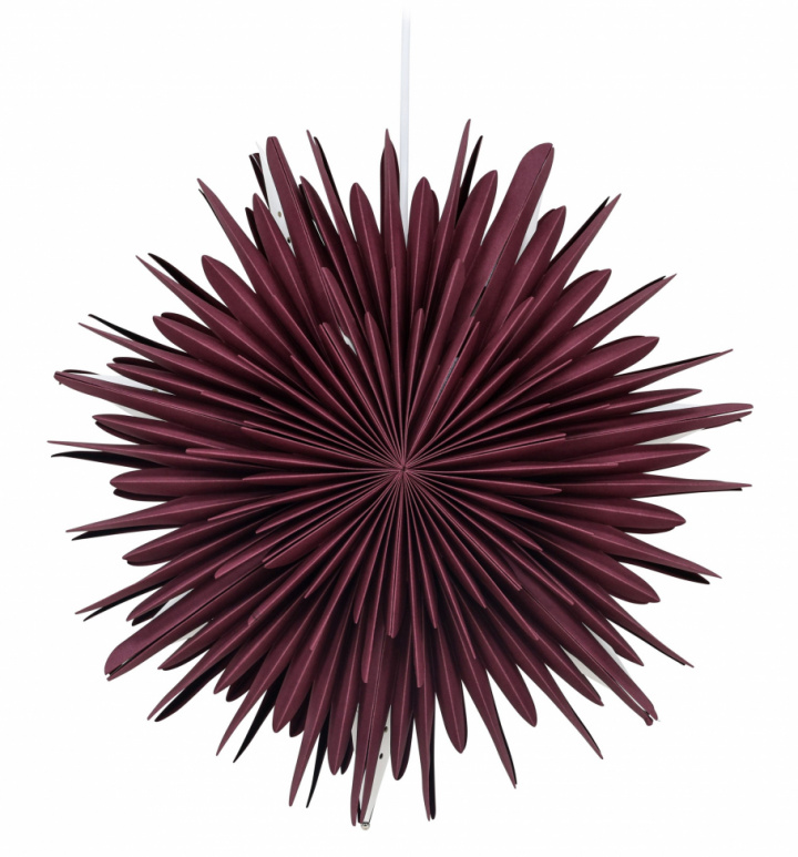 Kerstster \'Ture\' - Donkerrood in de groep Verlichting / Lampen / Kerstverlichting bij Reforma (20031-112)