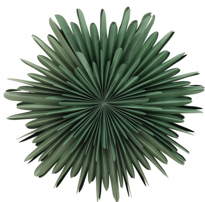 Adventster \'Svedala\' 80cm - Groen in de groep Kerst / Kerstdecoraties / Kerststerren bij Reforma (20033-104)
