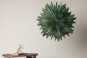 Adventster \'Svedala\' 80cm - Groen