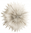 Adventster \'Svedala\' 100cm - Beige
