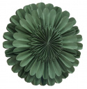 Adventster \'Mora\' - Groen