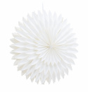Kerstster \'Örnsköldsvik\' - Wit