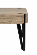 Salontafel \'Rustik\' - Natuur