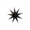 Kerstster \'Point\' S - Bruin
