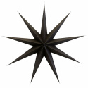 Kerstster \'Point\' L - Bruin