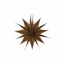 Kerstster \'Capella\' L - Natuur